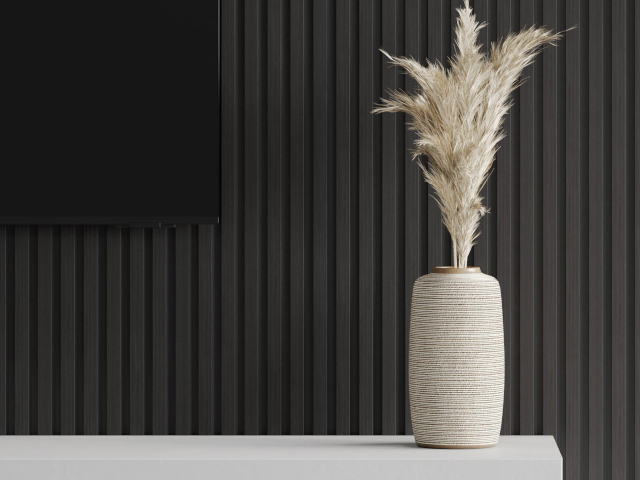 Svarta paneler i rummet