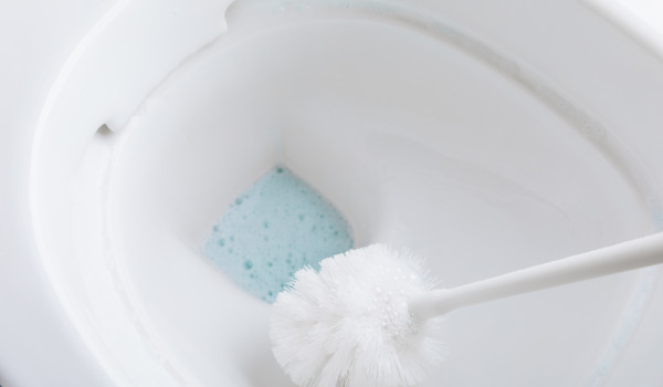 Hur man tar hand om en toalettborste