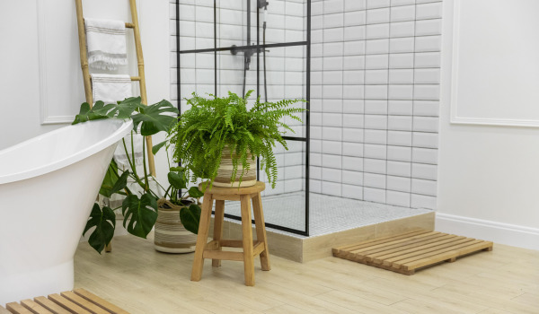 5 bästa blommorna att odla i badrummet