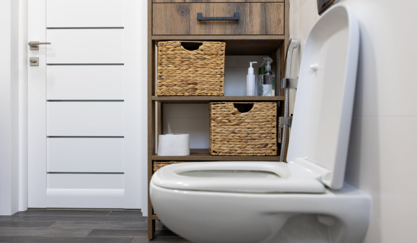 Toalettstol med eller utan kant?