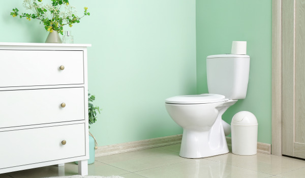 Toalettstol med skyddande beläggning eller inte?